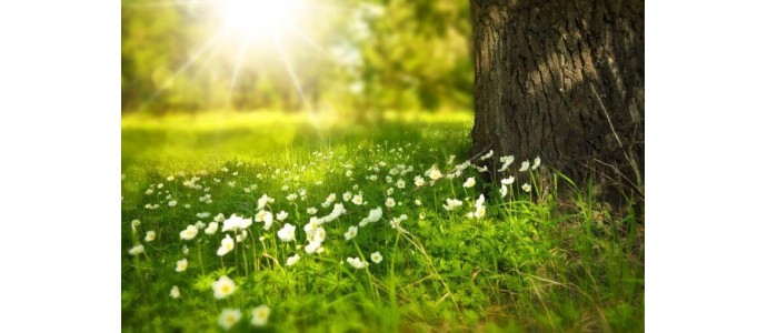 Pielęgnacja ciała po opalaniu